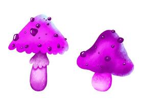 Magic neon violet mushrooms. Fly agaric and elements vector
