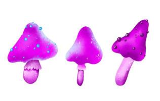 Magic violet mushrooms. Fly agaric and decorative elements vector