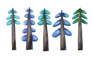 Firs, spruce. Evergreen trees hand illustration on isolate vector