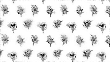 linha arte do buquês. ciclo fundo. esboço efeito video