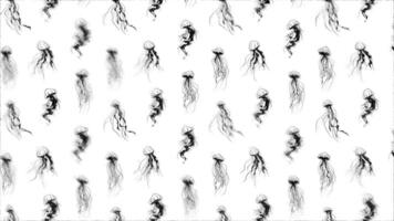 Jellyfish. Loop Background. Sketch effect video
