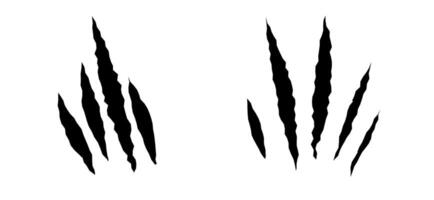Cat scratches set. Black claws animal scratch, Torn paper. Cat claws trace. illustration on black background. vector