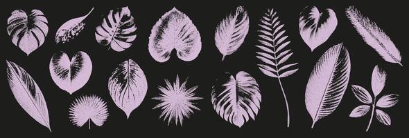 Trendy elements are tropical leaves with retro photocopy effect. Realistic grain effect. vector