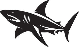 shark illustration on white background vector