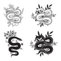 Elegant Snake and Flower Design Bundle vector