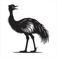 Wild Greater Rhea Bird in Minimalist Design vector