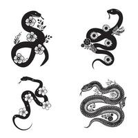 Flower With Snake Illustration Design Bundle vector