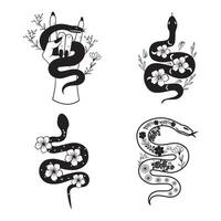 Snake Wrapped Around Flower Design Bundle vector