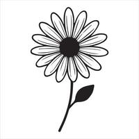 Botanical Common Daisy Flower Line Art for Prints vector
