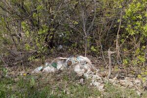 Garbage dump in the forest. Garbage in the forest.Environmental pollution concept. photo