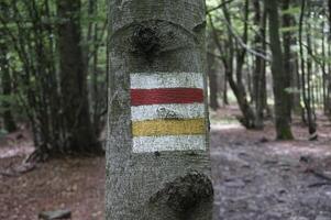 Jugowska Pass, Poland - August 8th, 2024 - Tourist path sign on a tree photo