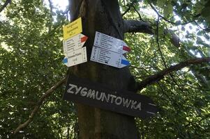 Jugowska Pass, Poland - August 8th, 2024 - Zygmontowka shelter - tourist signs on a tree in Owl Mountains photo