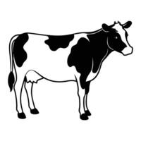 Holstein Friesian Illustration Design Featuring Grazing Cows vector