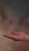 An Abstract Blurry Background that Features Earthy Tones and Colorful Variations in Artistry video