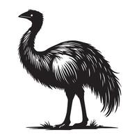 Naturalistic Greater Rhea Illustration in Black and White vector