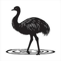 Elegant Greater Rhea Bird Standing Proud vector