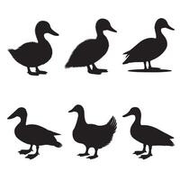 High-Quality Domestic Duck Silhouette Artwork Bundle vector