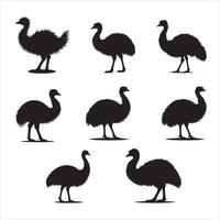 Simple Emu Silhouette Illustration for Graphic Design bundle vector