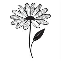 Delicate Common Daisy Flower Drawing in Minimalist Style vector
