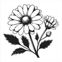 Versatile Common Daisy Flower Art for Creative Designs vector