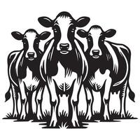 Holstein Friesian Illustration Design for Agriculture Themes vector