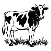 Holstein Friesian Illustration Design for Rural Living Artwork vector