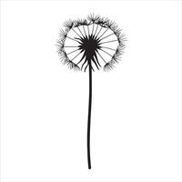Abstract Dandelion Silhouette Graphic Design vector