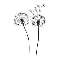 Decorative Dandelion Silhouette Image Design vector