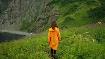 Being Closer To Nature, Woman Walking Alone On High Coastline Of Pacific Ocean, Back View Of Lady video