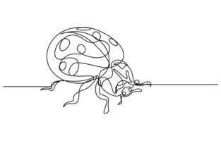 Ladybug illustration continuous line drawing vector