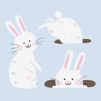 Character design of cute Eater white bunny in flat style. White bunny rabbits in different poses vector