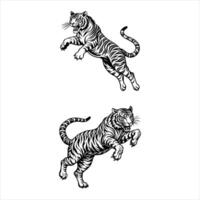 Dynamic Tiger Shots Vectors