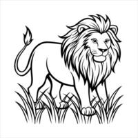 Angry female lion looking for prey in a grass field in the wilderness vector