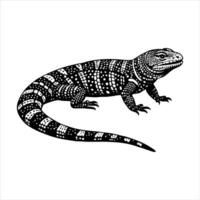 High angle view of lizard on sand vector