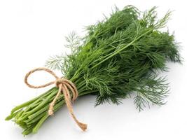 Fresh green dill herb bundle with vibrant leaves tied with twine photo