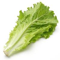 Fresh green lettuce leaf, vibrant and crisp, perfect for salads and healthy meals photo