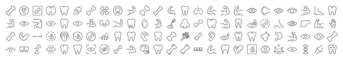 Bundles, Eye, Tooth, Muscle, Internal Organs Images Drawn with Thin Line. Collection of Various Design Elements that Can Be Used for Apps, Articles, Web Sites, Social Media vector