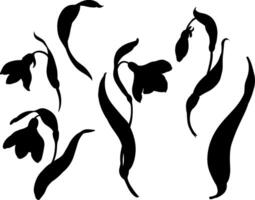 Snowdrop silhouettes set. Spring flowers in bloom. Black ink hand-drawn linear design of delicate white blossoms with leaves. Botanical set in contour style on isolated background. vector