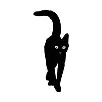 Silhouette of a black cat in a watchful pose. Cat , Cat silhouette, Cat icon, Cat logo. vector