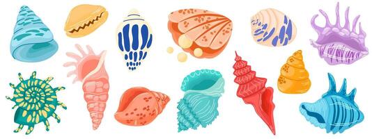 Set of colored sea shells, molluscs, sea snails, starfish. Modern flat illustration of seashells isolated on white background. vector
