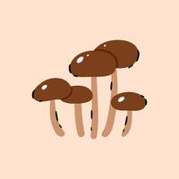 Mushrooms on a beige background. Button, Cremini, Portobello, Shiitake, Oyster, Porcini, Morel, Enoki, Chanterelle, Maitake. vector