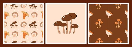 Set of cute edible mushrooms. Button, Cremini, Portobello, Shiitake, vector