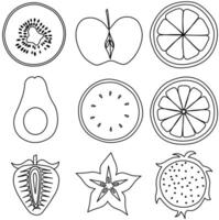 Set of slices fruit line art vector