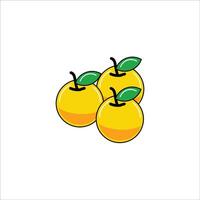three oranges on a white background vector