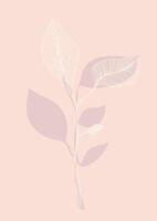 Desaturated background, cover with abstract floral, botanical elements. Gentle colors. vector