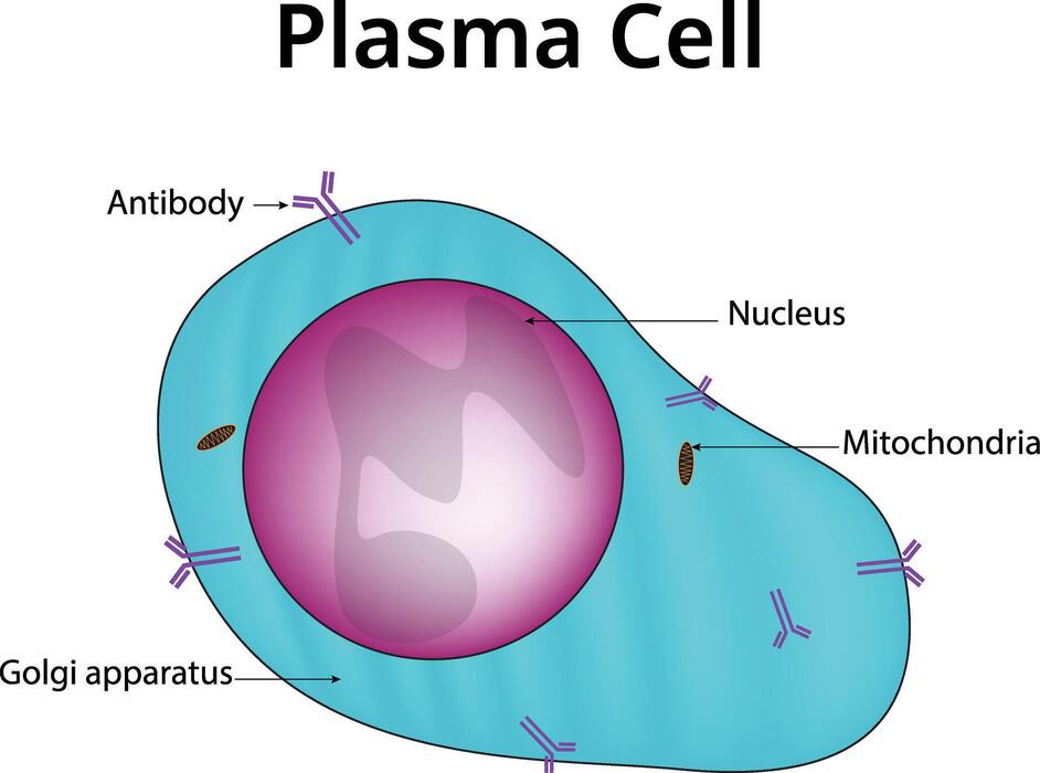 Cell Diagram Vector Art, Icons, and Graphics for Free Download