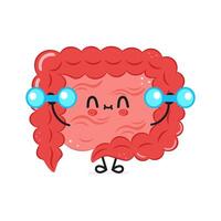 Cute Intestine character lifting dumbbells, white background, health concept vector