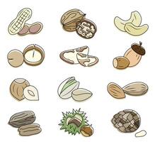 Different nuts. Healthy eating concept. Collection of different nuts flat illustration. vector