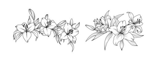 Lily flower arrangement line art isolated white background. Silhouette lilies botanical hand drawn element for wedding, invitation frame design illustration vector