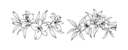 Lily flower arrangement line art isolated on white background. Silhouette lilies botanical hand drawn element for wedding, invitation frame design illustration vector